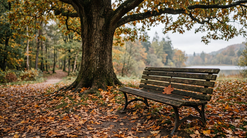 Lifestyle & Seasonal Wellbeing