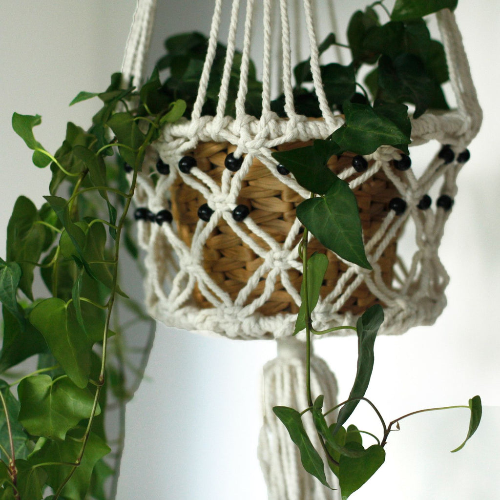 bG9jYWw6Ly9tZWRpYS85SC9DQy82MFIzMEMxRzZNVDNDQzlILzdmYWQ5ODQ1LmpwZWc - Anāsha