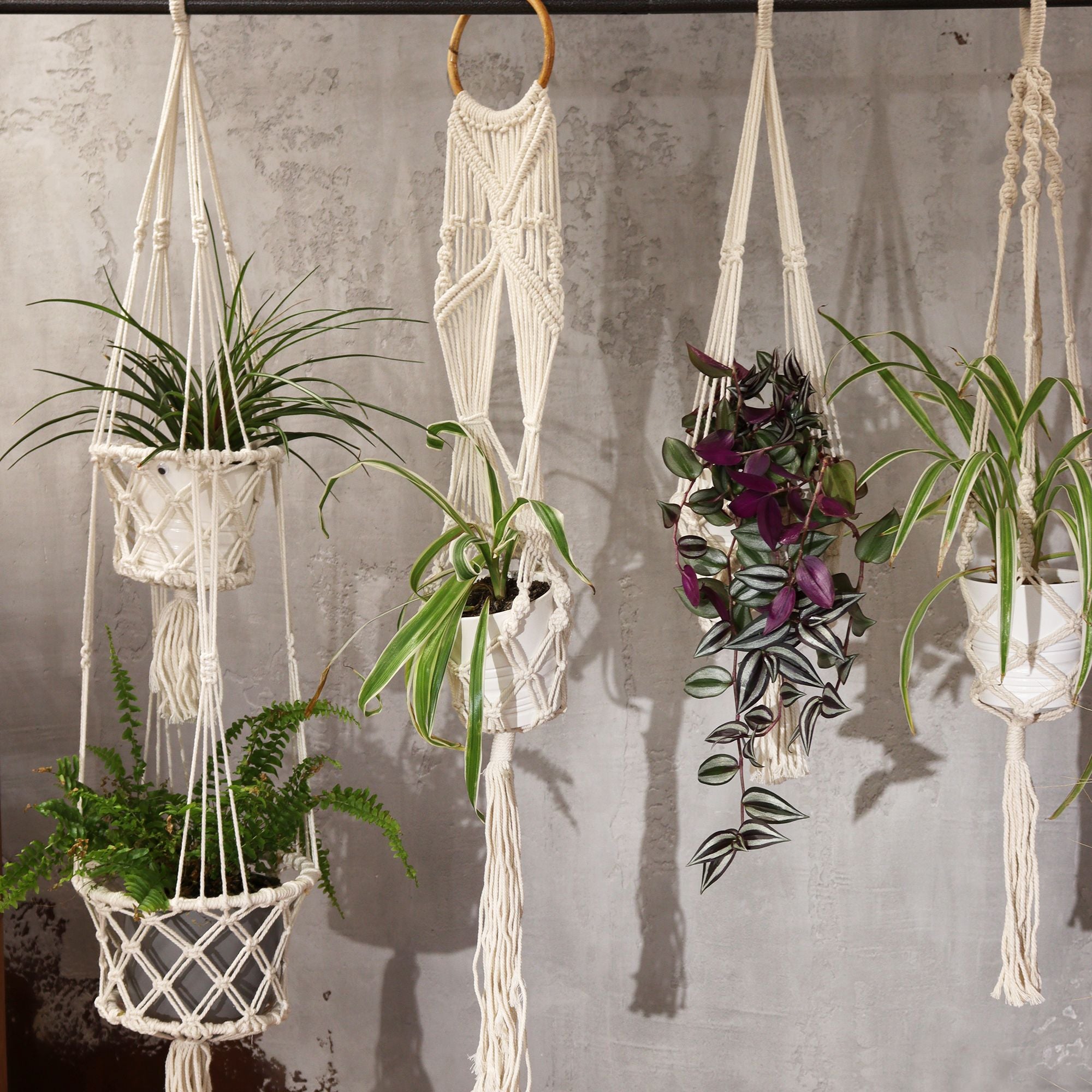 bG9jYWw6Ly9tZWRpYS85Si9BRS82MFIzMEMxRzZNVDNBRTlKLzM5NDk4MDc1LmpwZWc - Anāsha