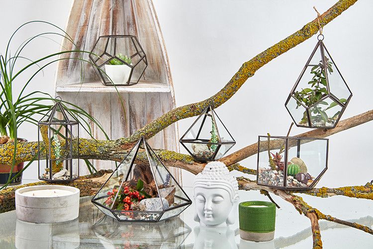 bG9jYWw6Ly9tZWRpYS85Ui82Qy82MFIzMEMxRzZNVEs2QzlSL2ZiMThkY2IzLmpwZWc_6007366f-9c0e-4bef-9a77-404a8dc136db - Anāsha