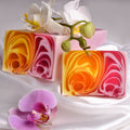bG9jYWw6Ly9tZWRpYS8xUi9DRC82MFIzMEMxRzZNV0tDRDFSL2M3ZjA3OTkzLmpwZWc - Anāsha
