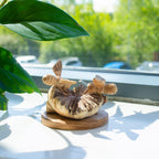 Handmade Parasite Wood Art Carving - Bees in The Works