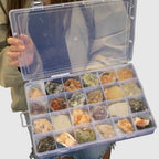 Mineral Specimens - Mixed Indian Zeolites in a Display (White Apophyllite, Stilbite,Finger Quartz, Amethyst, Green Stilbite, Heulandite)