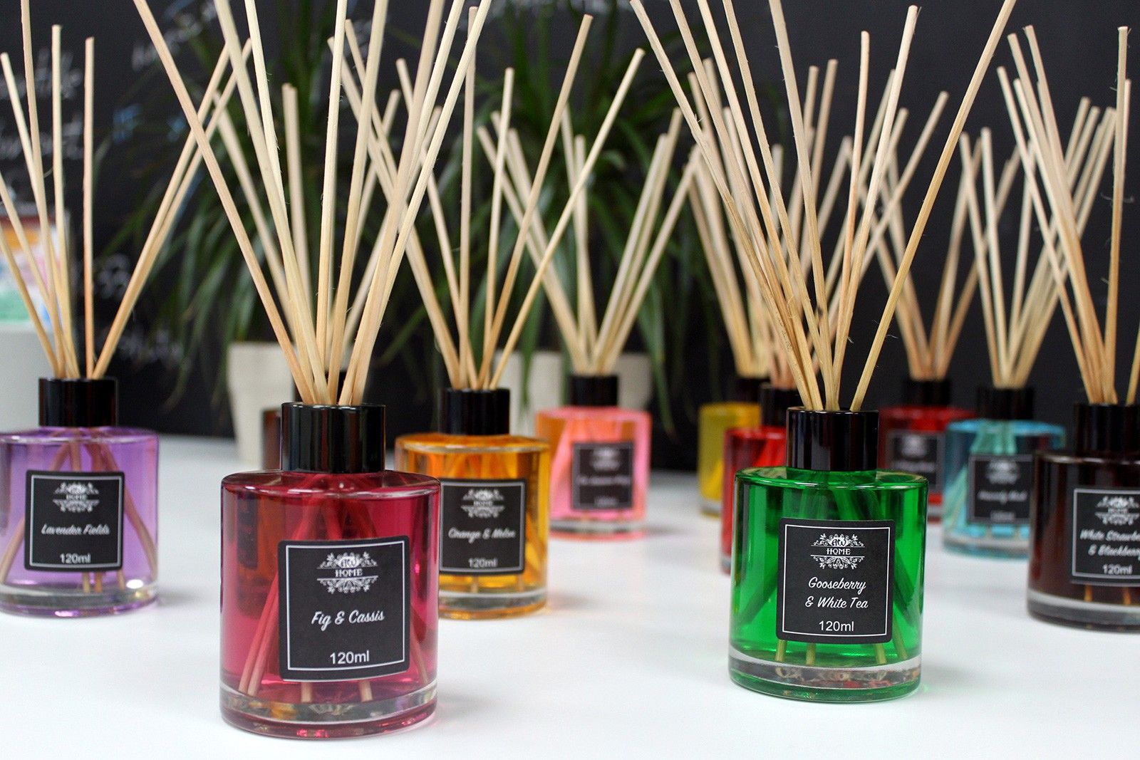 bG9jYWw6Ly9tZWRpYS9TTi80RC82MFIzMEMxRzZHVzM0RFNOLzM3ZDJmN2FhLmpwZWc_23cde6b9-dc9e-428f-91fa-ca321d49c021 - Anāsha
