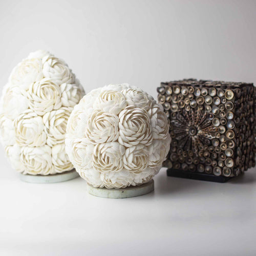 Artisan Chocolate Twist Square Sea Shell Lamp | 15cm