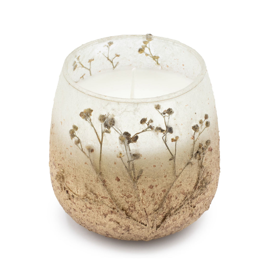 Artisan Medium Glass Jar Candles | Wildlight Woods