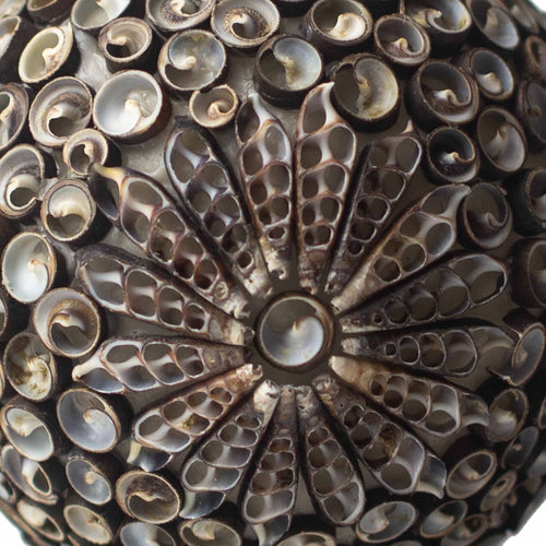 Artisan Chocolate Twist Globe Sea Shell Lamp | 15cm